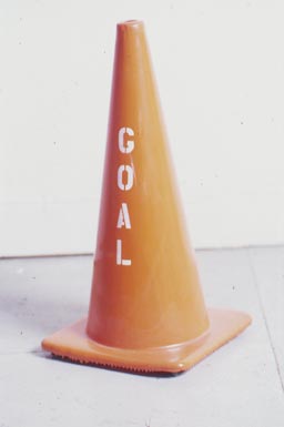 Caros Villa, Goal